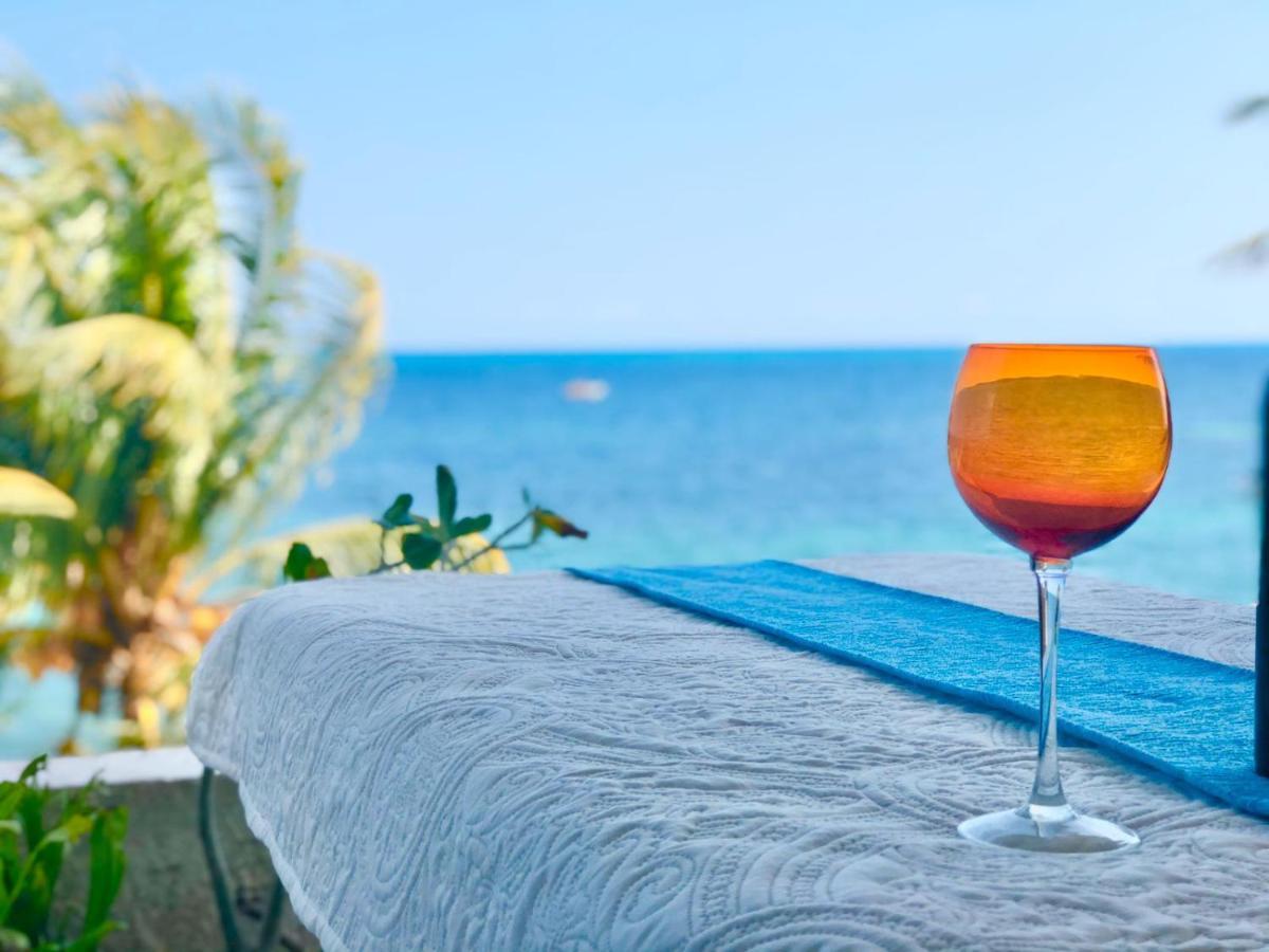 Flamingo Paradise Front By Cielo Maya Cancun Dış mekan fotoğraf